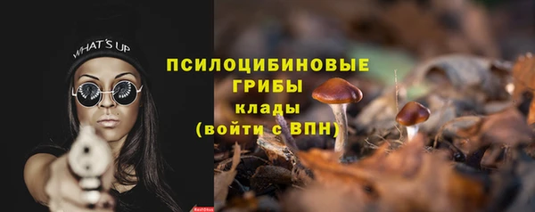 соль курить ск Верея