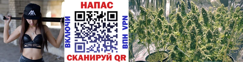 Марихуана гибрид  Новоульяновск 